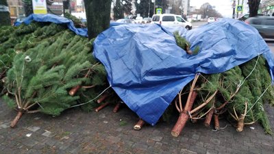 Фото: Держекоінспекції у Хмельницькій області Фото: Держекоінспекції у Хмельницькій області