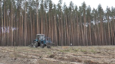Техніка лісівників для висадки лісу Техніка лісівників для висадки лісу