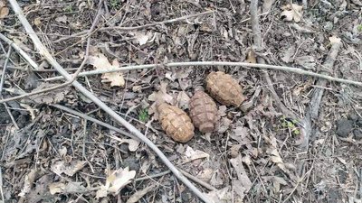 На Дніпропетровщині піротехніки ДСНС знищили 5 застарілих боєприпасів На Дніпропетровщині піротехніки ДСНС знищили 5 застарілих боєприпасів