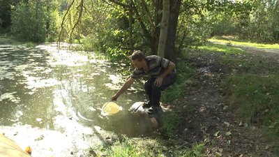 Вода лише там, де бобри загатили: у селах Сосницького району зникла вода