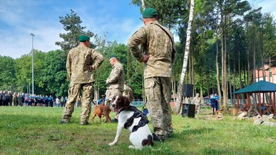 Прикордонники у ліцеї імені Героїв Крут Прикордонники у ліцеї імені Героїв Крут