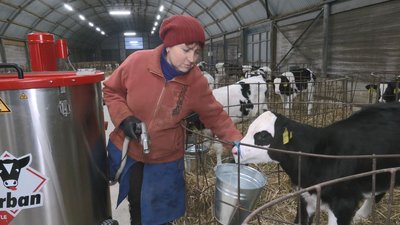 Без вихідних і з генераторами: як працює без світла ферма на Черкащині