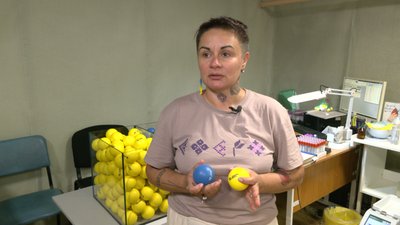 500 м'ячиків для центру служби крові. У місті провели першу акцію у рамках "ХарківПрайду" 500 м'ячиків для центру служби крові. У місті провели першу акцію у рамках "ХарківПрайду"