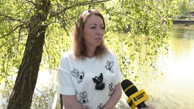 У луцькому парку пара лебедів облаштувала гніздо: відвідувачів просять не турбувати птахів У луцькому парку пара лебедів облаштувала гніздо: відвідувачів просять не турбувати птахів
