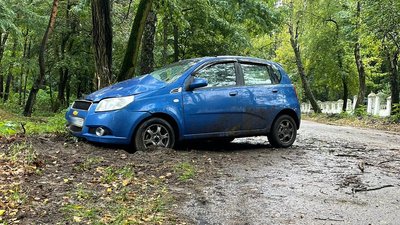 У Житомирі автомобіль врізався в дерево – травмовані двоє дітей У Житомирі автомобіль врізався в дерево – травмовані двоє дітей