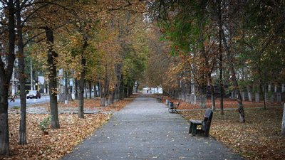 Херсон, осінь, листя, жовтень, погода