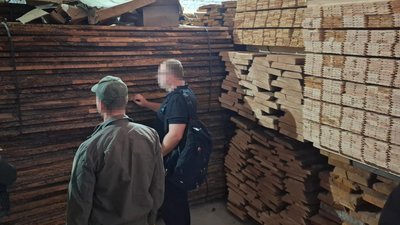 Деревина, конфіскована митниками у експортера