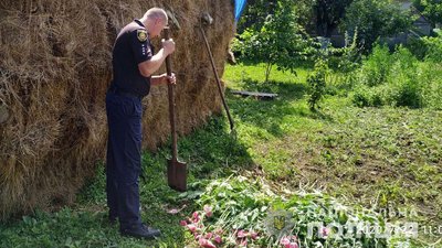 Рекорд у цьому році: поліція звітує про найбільший виявлений посів маку на Рівненщині Рекорд у цьому році: поліція звітує про найбільший виявлений посів маку на Рівненщині