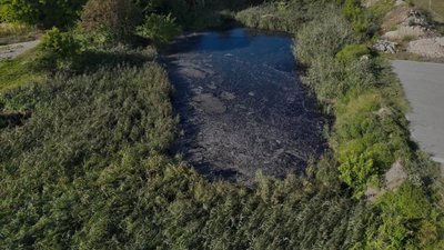 З забрудненої водойми у Ковелі взяли проби води 
