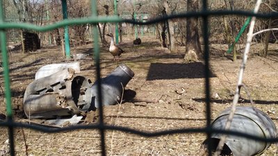 "Залишити все це ми не можемо": як працює Миколаївський зоопарк під час війни "Залишити все це ми не можемо": як працює Миколаївський зоопарк під час війни
