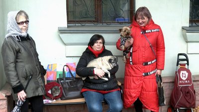 Допомагають і домашнім, і безпритульним. На Донеччину приїхала команда столичних ветеринарів: як працюють Допомагають і домашнім, і безпритульним. На Донеччину приїхала команда столичних ветеринарів: як працюють