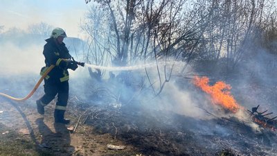 Горіли екосистеми та господарська споруда: на Волині за добу ліквідували 15 пожеж Горіли екосистеми та господарська споруда: на Волині за добу ліквідували 15 пожеж