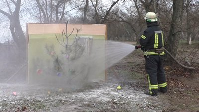 Запорізькі рятувальники традиційно спалили ялинку Запорізькі рятувальники традиційно спалили ялинку