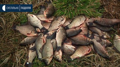 На водоймах Хмельниччини фіксують порушення нерестових заборон