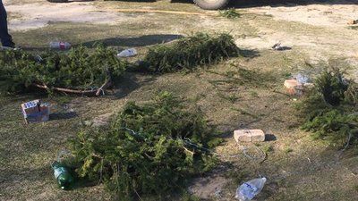 Майже 1000 нерестових гнізд встановили на водоймах Вінниччини Майже 1000 нерестових гнізд встановили на водоймах Вінниччини