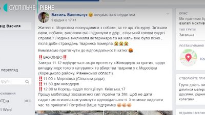 Зоозахисники приїхали у село на Рівненщині, де чоловік убив собаку Зоозахисники приїхали у село на Рівненщині, де чоловік убив собаку