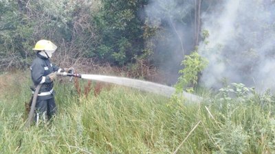 На Херсонщині за добу 11 разів горіли сухостій та очерет На Херсонщині за добу 11 разів горіли сухостій та очерет