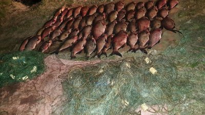 На території іхтіологічного заповідника на Черкащині впімали браконьєрів На території іхтіологічного заповідника на Черкащині впімали браконьєрів