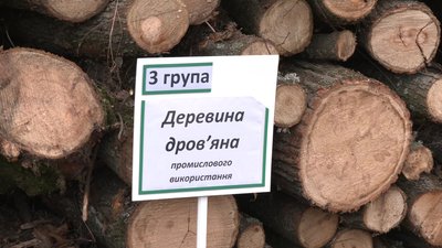 На Сумщині запрацював державний онлайн-магазин дров На Сумщині запрацював державний онлайн-магазин дров