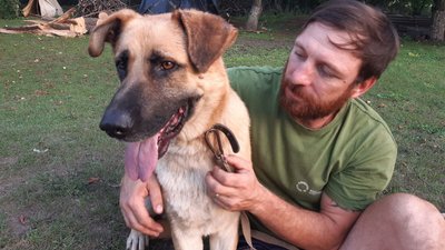Одразу зрозуміли, що стане членом родини.Переселенці з Харкова привезли з собою у Кропивницький безпритульного пса Одразу зрозуміли, що стане членом родини.Переселенці з Харкова привезли з собою у Кропивницький безпритульного пса