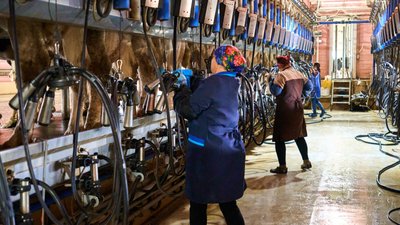 Молочний цех агрофірми у Козацькому на Сумщині. 