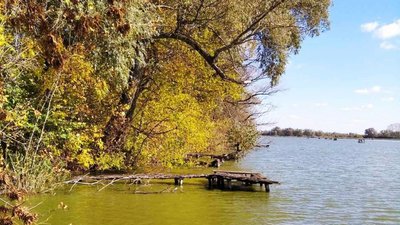 На Сумщині прогнозують до +17°C, сонячну погоду змінять опади