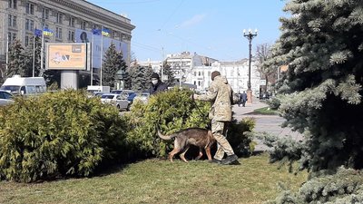 Поліція перевіряє інформацію про замінування Харківської обладміністрації