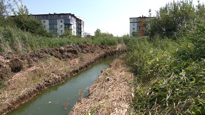 У Рівному сфотографували трубу, яка веде в озеро Басів Кут. Чия вона