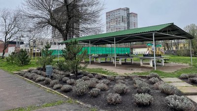 Лавандове поле в середмісті: у черкаському парку створили "маленький Прованс" Лавандове поле в середмісті: у черкаському парку створили "маленький Прованс"