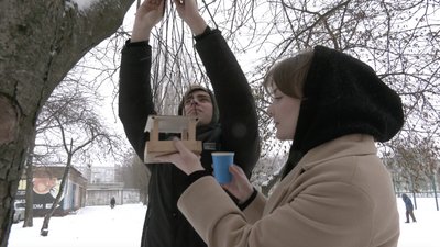 Їжа для птахів взимку: як підгодувати, аби не нашкодити — пояснення орнітолога з Черкас