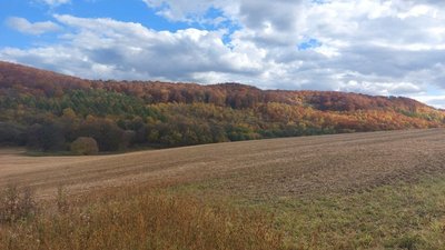 Село Корчунок на Франківщині: 15 років самотності