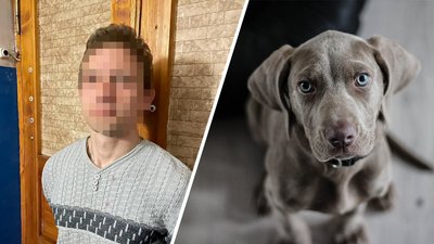 У Черкасах чоловік забив собаку до смерті