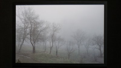 "Асортиментна кімната": погляд на децентралізацію мистецтва з Івано-Франківська "Асортиментна кімната": погляд на децентралізацію мистецтва з Івано-Франківська
