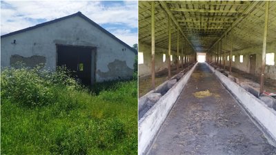 У Кропивницькому районі не працює притулок для тварин, який відкрили пів року тому