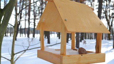 У Житомирі жителі мікрорайону Малікова провели конкурс годівничок