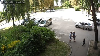 У Житомирі пес залишився цілим та неушкодженим після наїзду легковика У Житомирі пес залишився цілим та неушкодженим після наїзду легковика