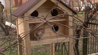 У Черкасах встановили ще одну "котохатку" У Черкасах встановили ще одну "котохатку"