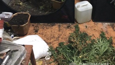 У жителя Кіровоградської області поліцейські вилучили зброю та наркотики У жителя Кіровоградської області поліцейські вилучили зброю та наркотики