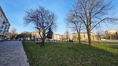 Який вигляд має сквер у центрі Житомира, відремонтований минулоріч за 5,4 мільйона. Фоторепортаж