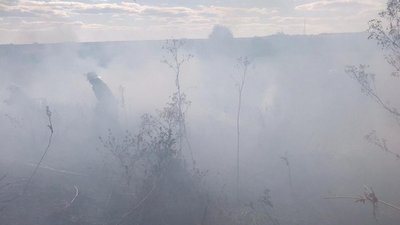 На Дніпропетровщині в природних екосистемах виникло 38 пожеж на загальній площі 34 га