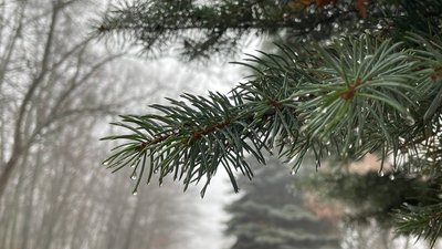 Погода у Черкасах