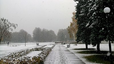 Перший сніг на Сумщині: фоторепортаж