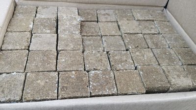 388 тисяч доз вакцини: на Полтавщині імунізують диких тварин від сказу 388 тисяч доз вакцини: на Полтавщині імунізують диких тварин від сказу