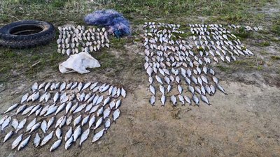 На Кіровоградщині чоловік незаконно виловив риби на майже 20 тисяч гривень