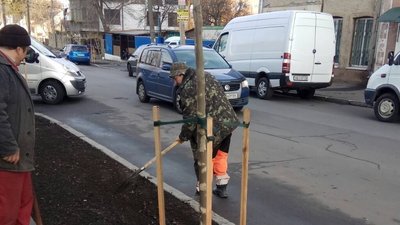 Частина висаджених дерев у Хмельницькому не прижилася. Коли обіцяють висадити нові