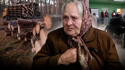 Допомога на дрова на Чернігівщині: для жителів прикордонної Іванівки задонатили Нідерланди