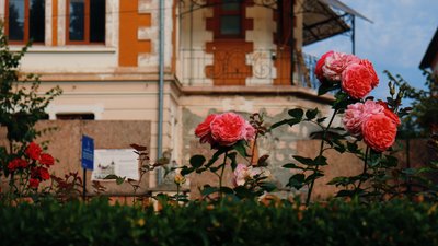 Погода, Франківськ, область, 10 вересня