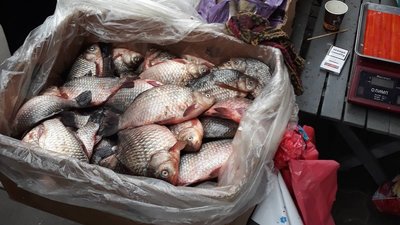 За два дні - 17 порушень: на Херсонщині любителі порибалити нехтують правилами