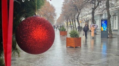 ялинка, свято, Різдво, Зеленбуд, зимові свята, міська рада, прикрашання ялинки