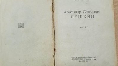 Кірпотіна та Горького намагався вивезти росіянин через кордон на Житомирщині